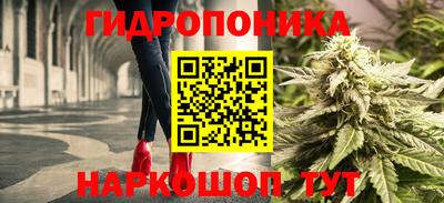 каннабис Волжский