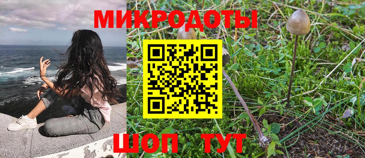 Мончегорск  Галлюциногенные грибы MAGIC MUSHROOMS  Вход с VPN 